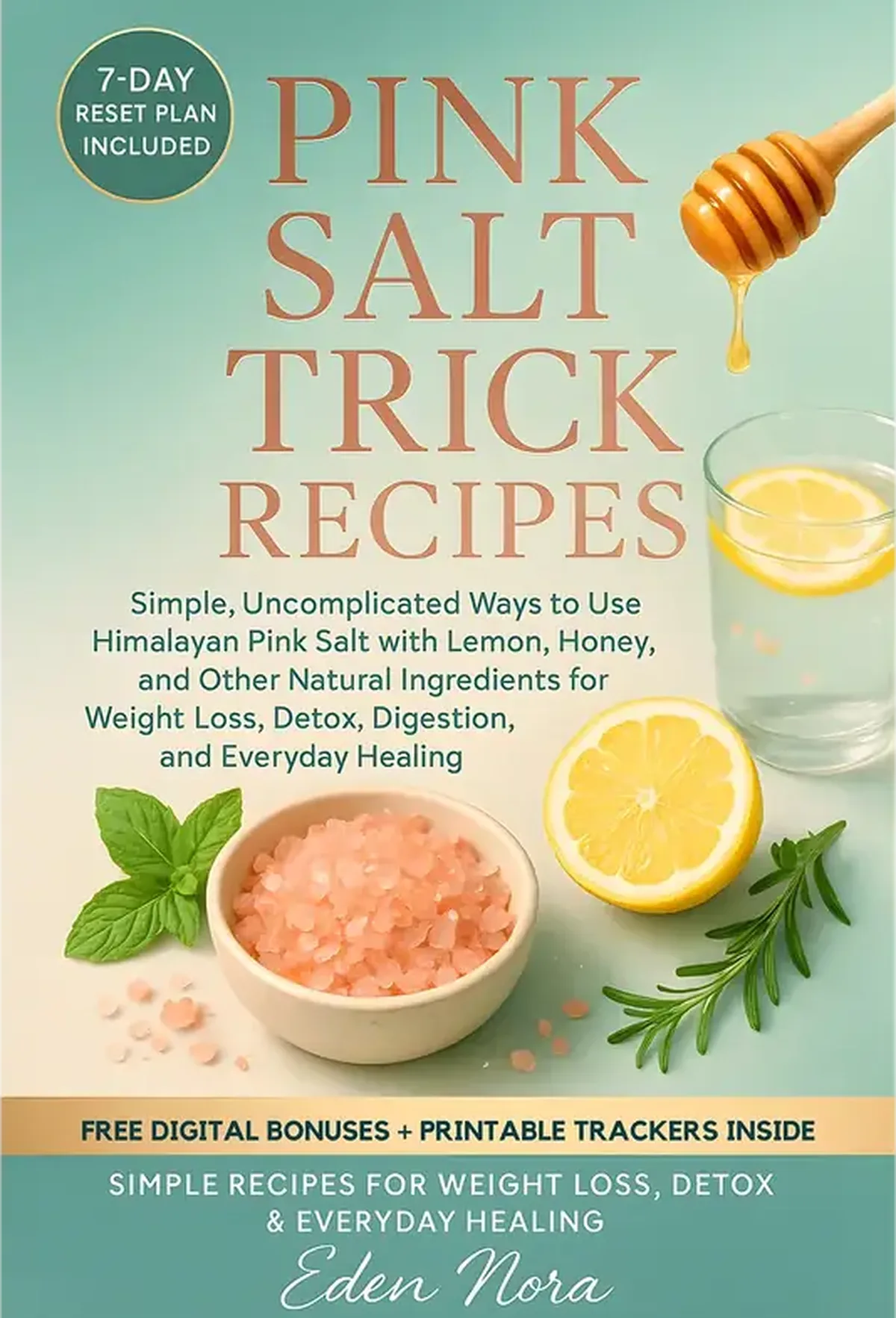 Pink Salt Trick Recipes | Simple Himalayan Salt Weight Loss Book